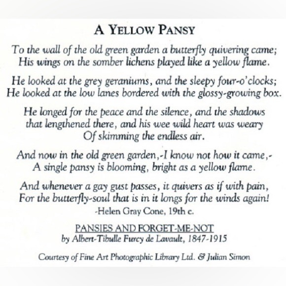 Birthday Greeting Card - Picture 3 of 3